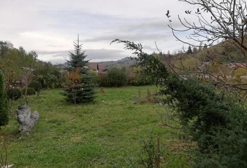 펜션 Casa Cozorici