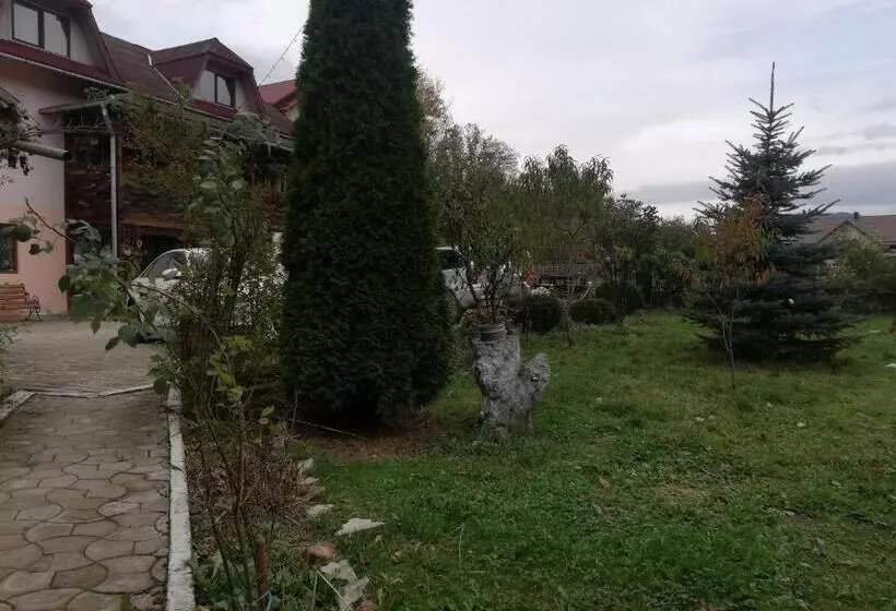ペンション Casa Cozorici