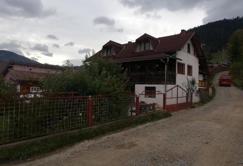 펜션 Casa Cozorici