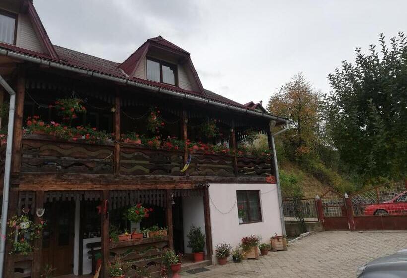 펜션 Casa Cozorici