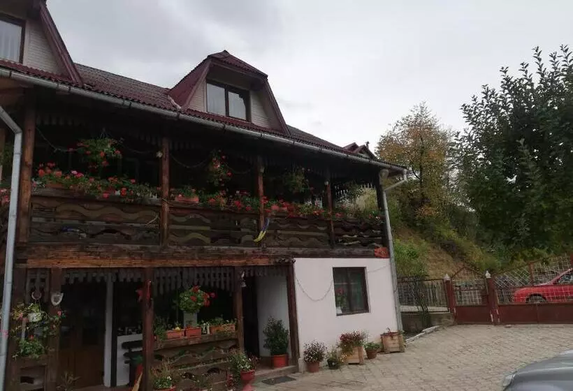 ペンション Casa Cozorici