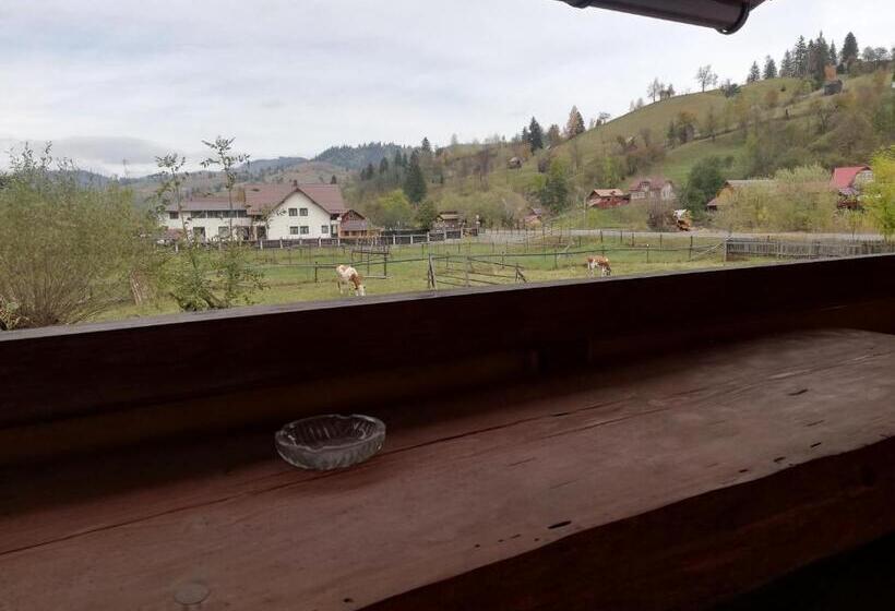 펜션 Casa Cozorici