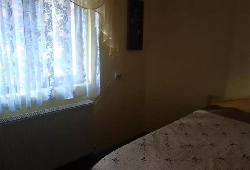 ペンション Casa Cozorici
