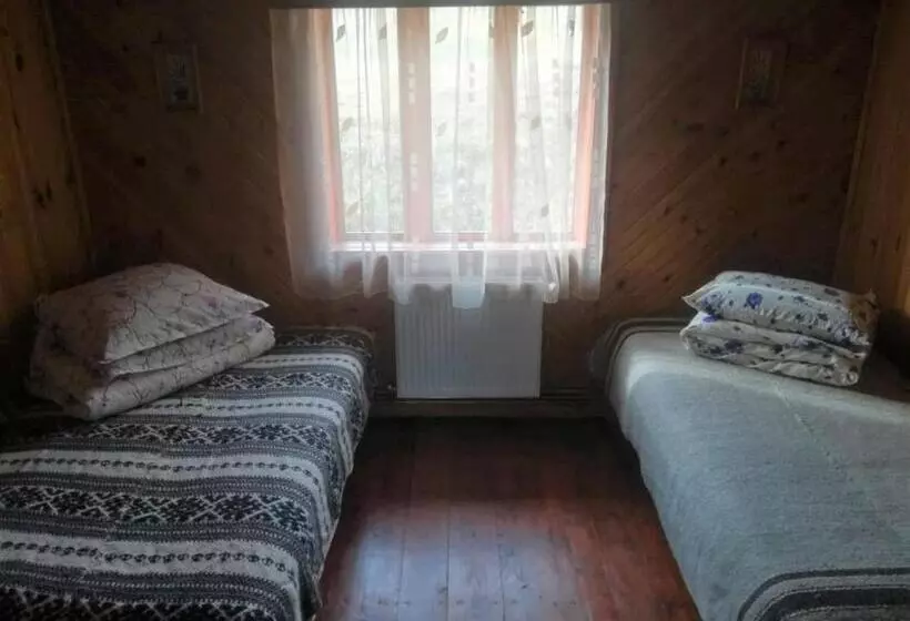 ペンション Casa Cozorici