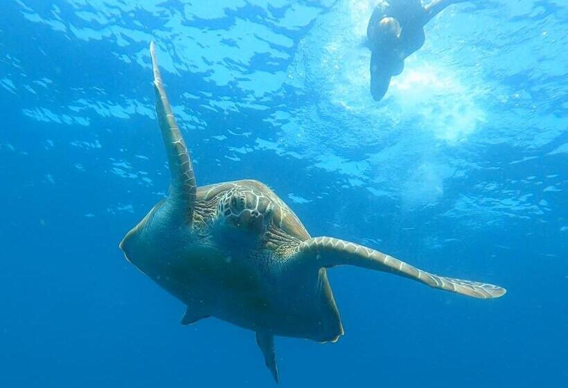 پانسیون Dhangethi Inn
