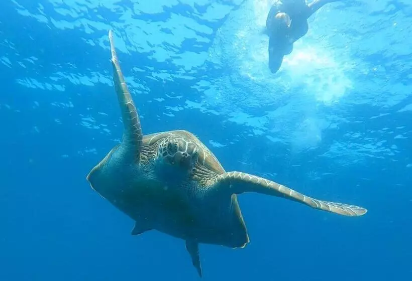 پانسیون Dhangethi Inn