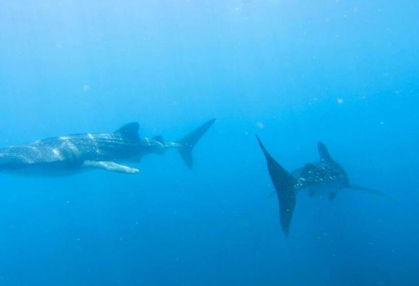 پانسیون Dhangethi Inn