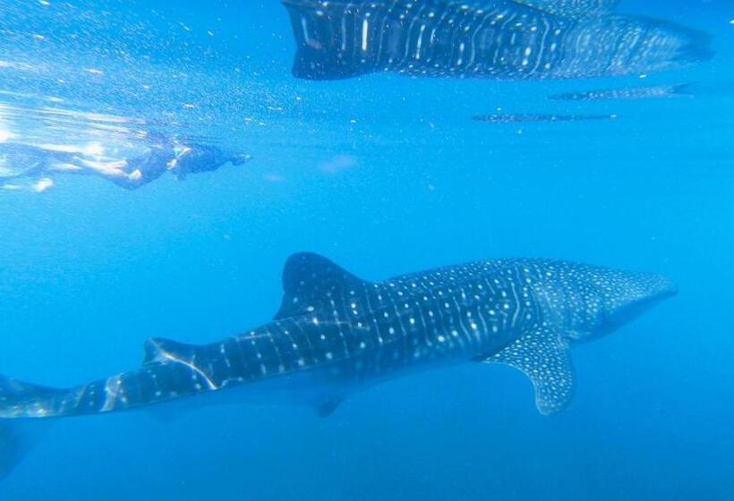 پانسیون Dhangethi Inn