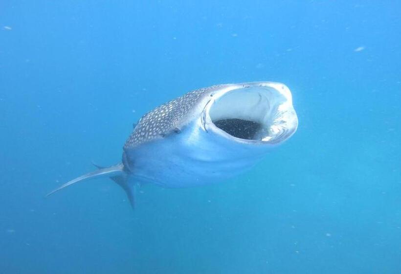 پانسیون Dhangethi Inn