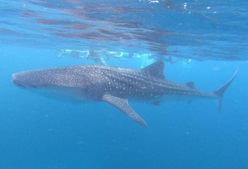 پانسیون Dhangethi Inn