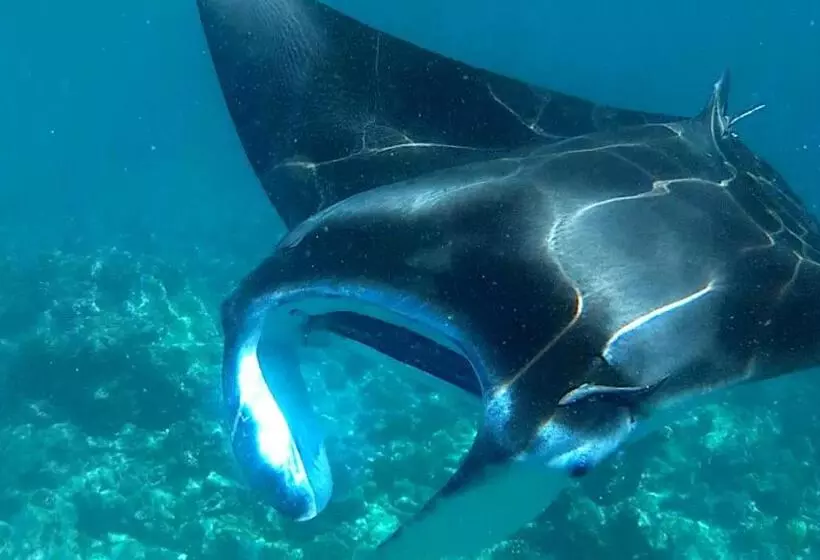 پانسیون Dhangethi Inn