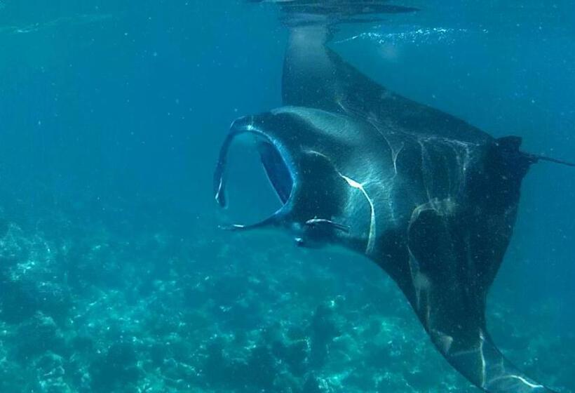 پانسیون Dhangethi Inn