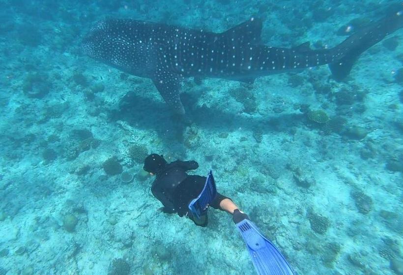 پانسیون Dhangethi Inn