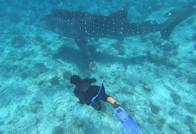 پانسیون Dhangethi Inn