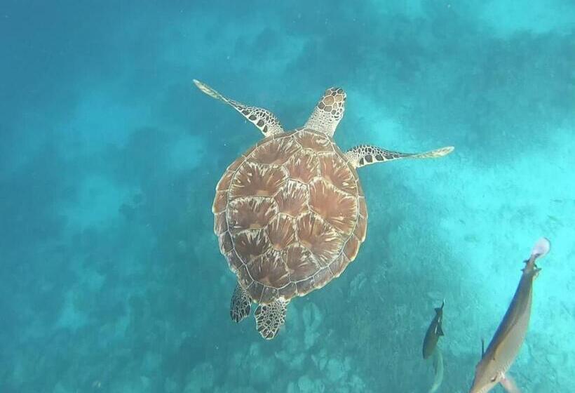 پانسیون Dhangethi Inn