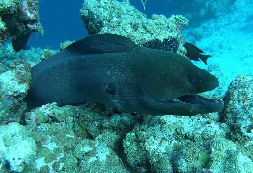 پانسیون Dhangethi Inn