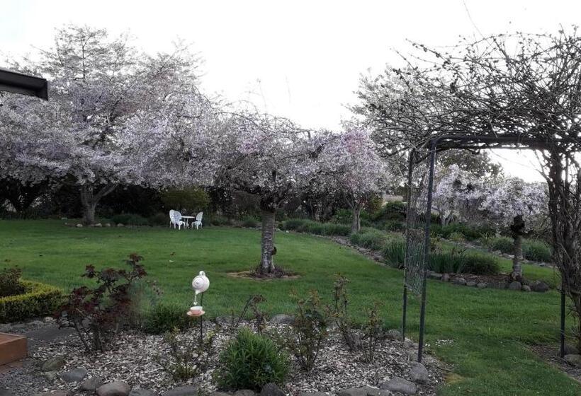 פנסיון Kaimai Sunset Bed & Breakfast