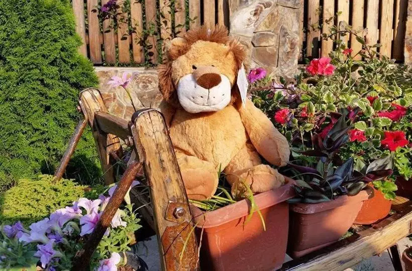 Pensiunea Raiul Munților