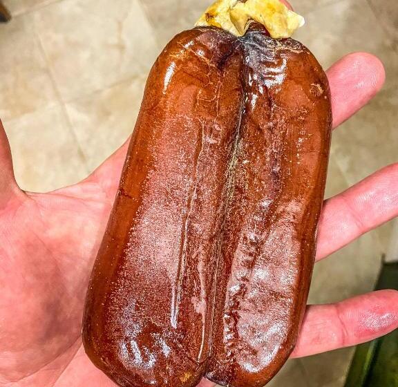 A Casa Di Oba, A Pochi Minuti Dal Mare