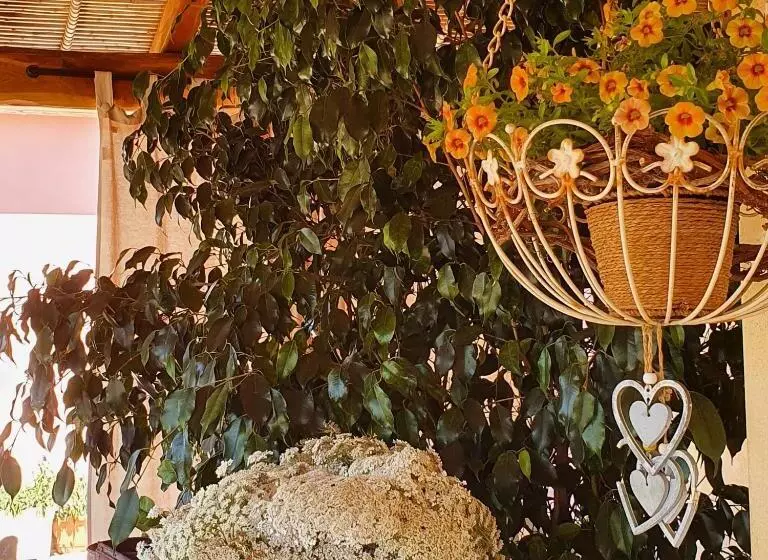 B&b La Vela Chia