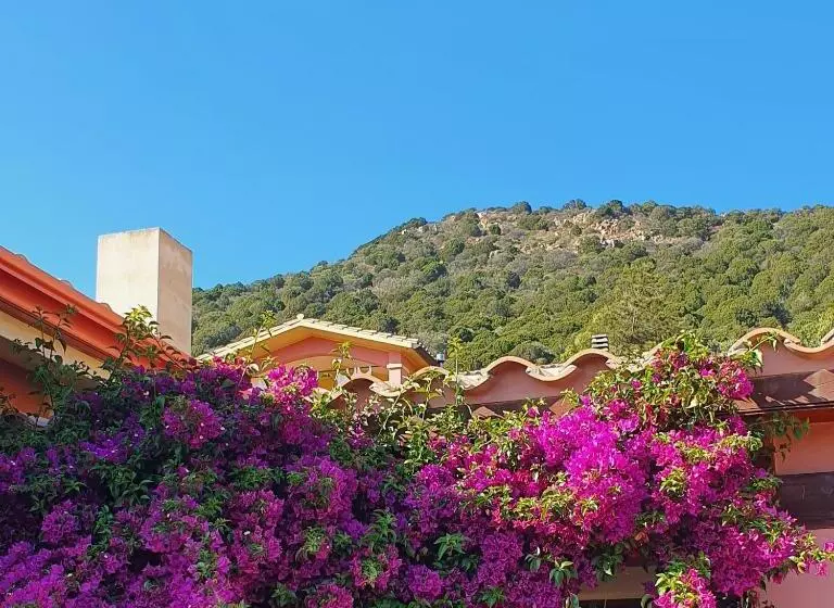 B&b La Vela Chia