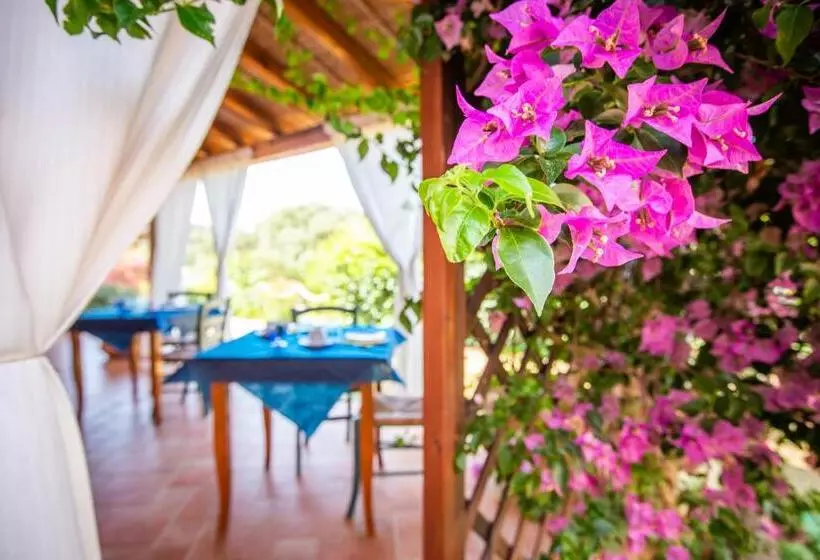 B&b La Vela Chia