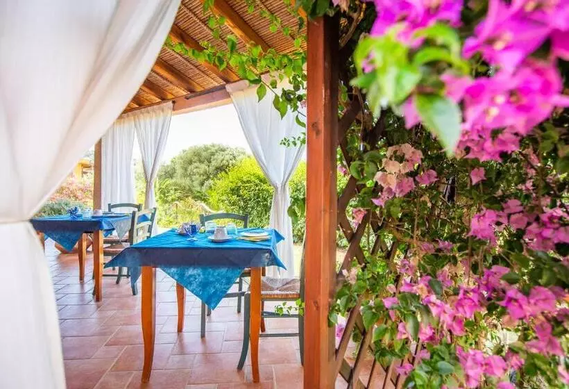 B&b La Vela Chia
