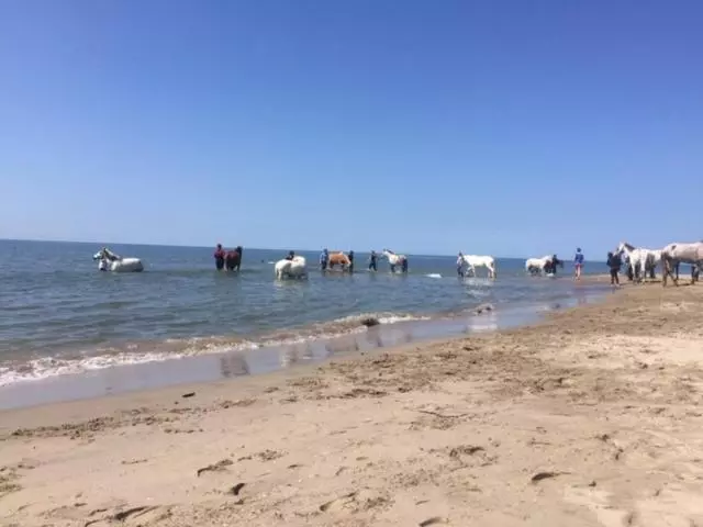 Aamiaismajoitus (B&B) La Salamandre De Camargue