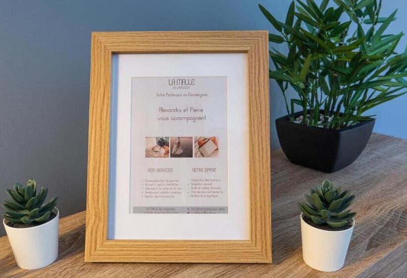 Centre Historique Free Parking Wifi Netflix Zen&cosy Sleepntripbeziers