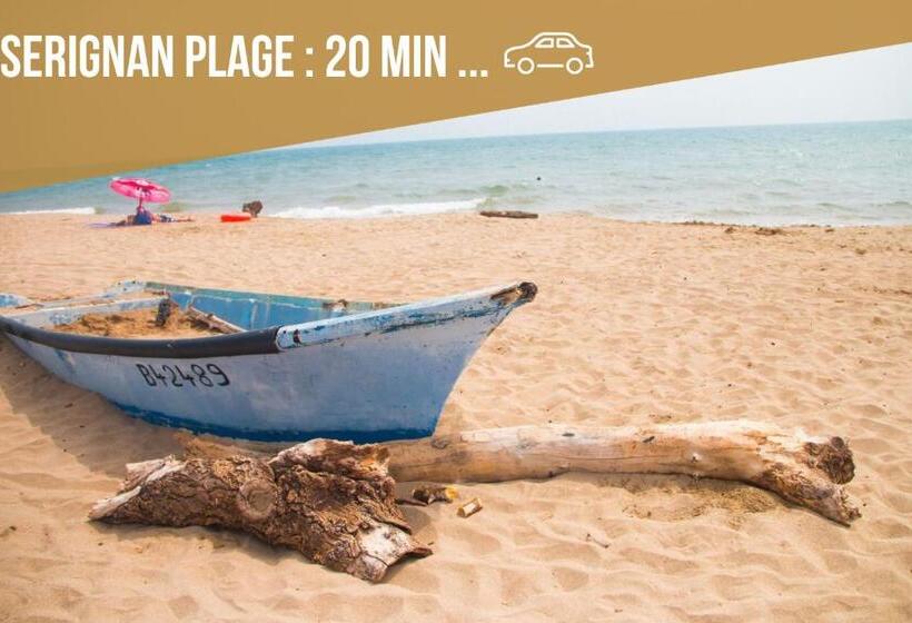 Centre Historique Free Parking Wifi Netflix Zen&cosy Sleepntripbeziers