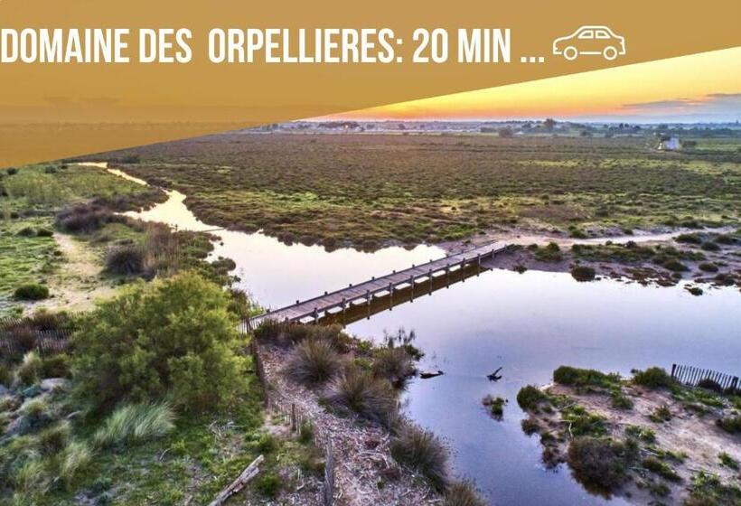 Centre Historique Free Parking Wifi Netflix Zen&cosy Sleepntripbeziers