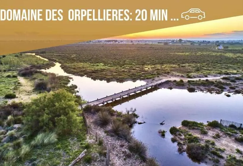 Centre Historique  Free Parking Wifi Netflix Zen&cosy Sleepntripbeziers