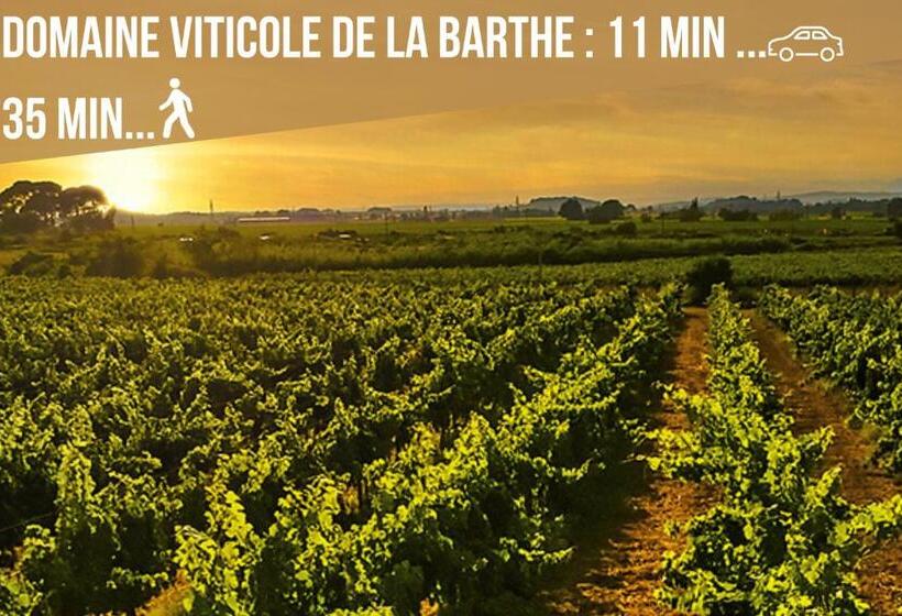 Centre Historique Free Parking Wifi Netflix Zen&cosy Sleepntripbeziers