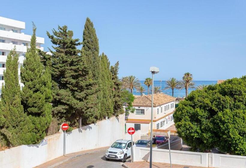 Cute Apartment Oceanfront