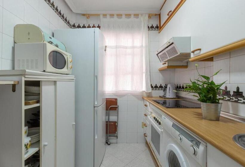 Cute Apartment Oceanfront