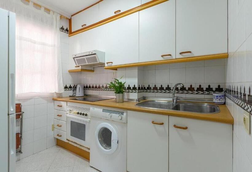 Cute Apartment Oceanfront