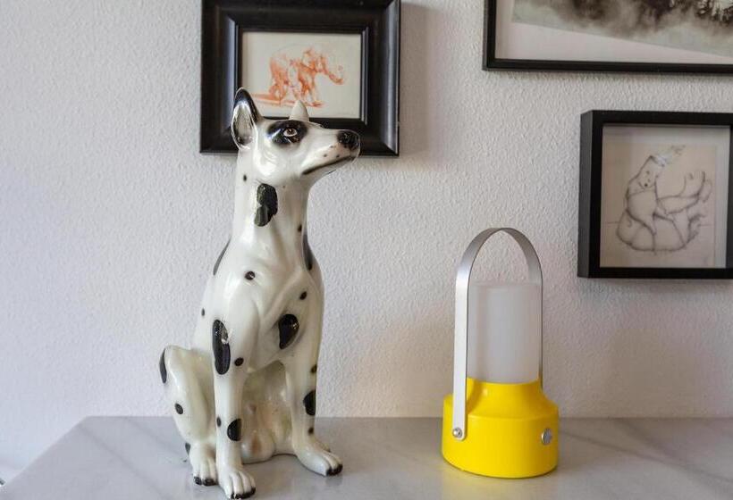 Cute Apartment Oceanfront