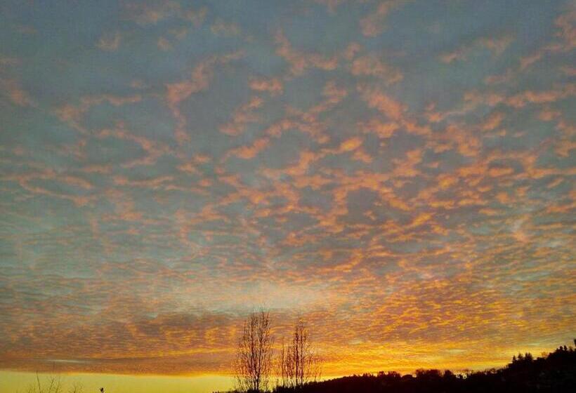 La Salamandrine, à 600 M Du Centre Historique Par Un Sentier