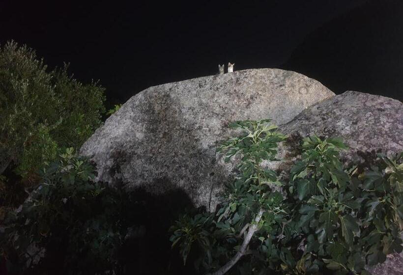 Пансион B&b Tiscali