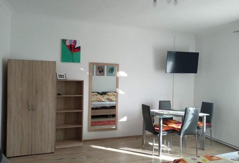 ペンション Füge Vendégház