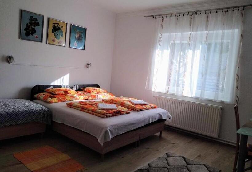 פנסיון Füge Vendégház