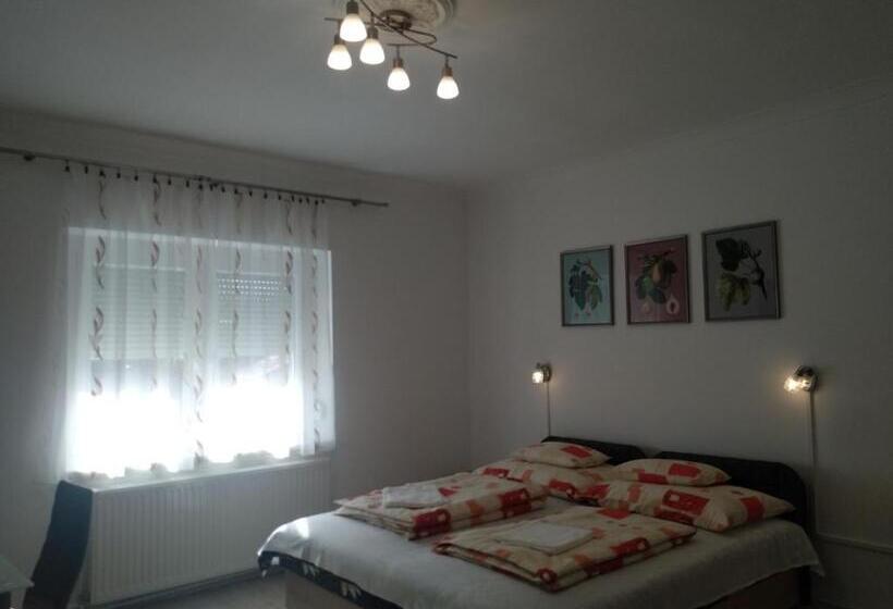 ペンション Füge Vendégház