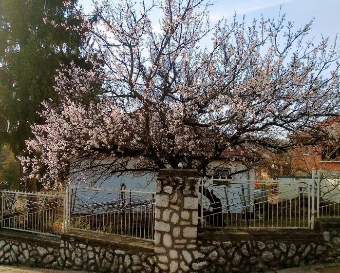 ペンション Füge Vendégház