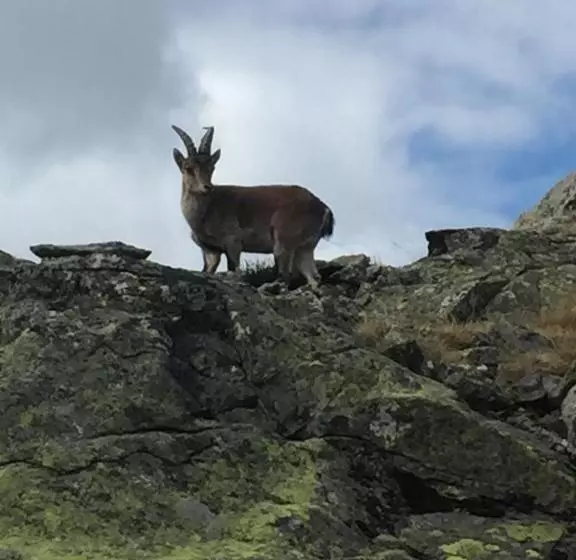 Majatalo Hostal Sierra De Gredos