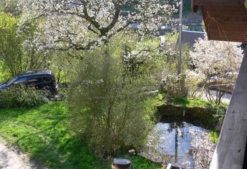 Separate Größere Fewo Im Dg