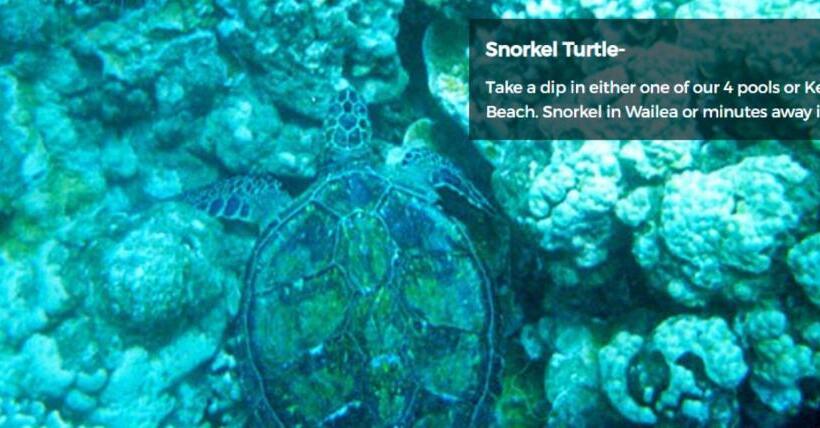 9b Ekahi Village Studio Bath, Garden View   1 Minute Stroll To Beach!