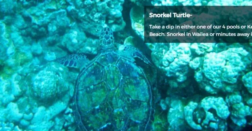 9b Ekahi Village Studio Bath, Garden View   1 Minute Stroll To Beach!