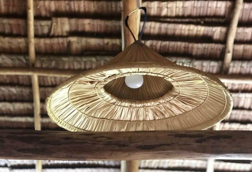 ユースホステル Backpacker S Hill Resort