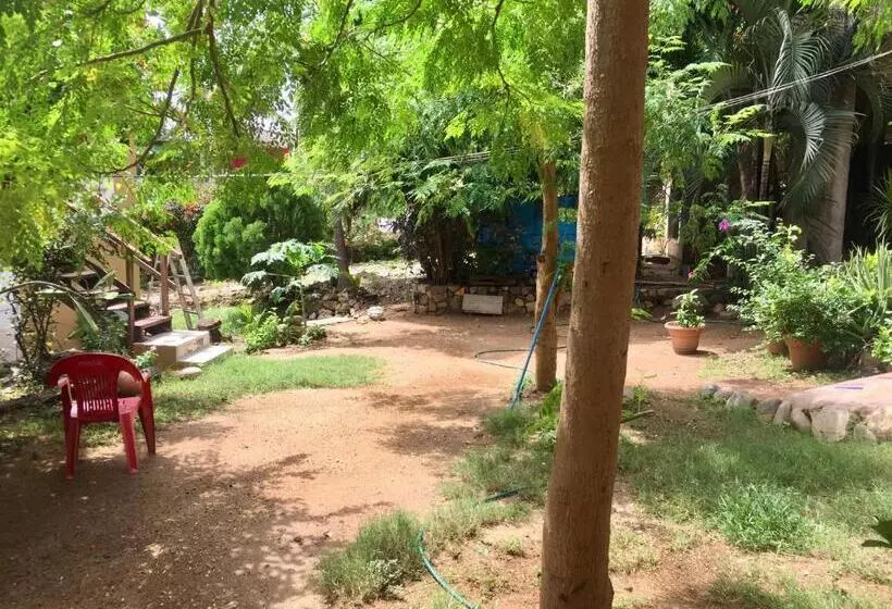 ユースホステル Posada Aketzalli Mazunte