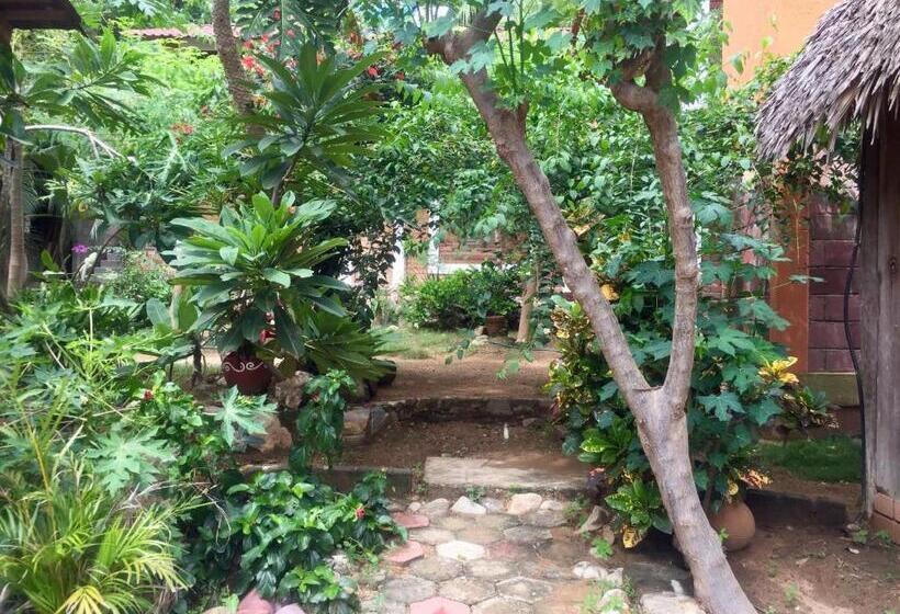 فندق صغير Posada Aketzalli Mazunte